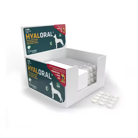 HYALORAL RAZAS GRANDES 360 COMP Pharmadiet - 1