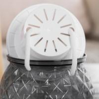 Maceta Mini Self Watering Transparente Para Plantas Y Acuarios Con Desechadero Plástico Moderno Para Decoración Del Hogar - details 5