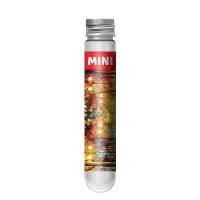 Rompecabezas De Viaje Mini Test Tube 150pcs Juego De Lógica Para Adultos Y Niños Regalo De Navidad Torre De París Puzzle De Papel - details 3