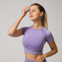 Camiseta De Yoga Sin Costuras Para Mujer Top Corto De Manga Fitness Ropa Deportiva Para Gimnasio Correr Sportswear Polyester Nylon Spandex - details 3