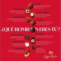 Bombones de chocolate surtidos NESTLÉ Caja Roja 800g - details 0
