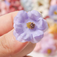 50PCs Cabezas De Rosas Artificiales Miniatura En Seda Para Decoración De Hogar Bodas Artesanía Corona Regalos Accesorios - details 6