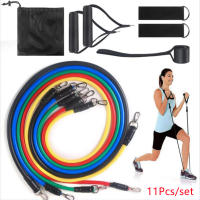 Set De 11 Pzas De Bandas Elásticas De Resistencia Para Ejercicios De Fuerza Y Terapia Física 100LB Tuberías Expansoras De Goma Para Gimnasio Y Entrenamiento - details 1