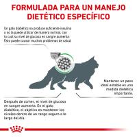 Royal Canin Pienso Dietético Diabetic para Gato 3.5Kg - details 1