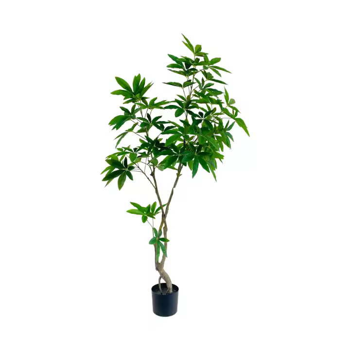 Poenia Arte Floral - Planta Artificial Árbol del Dinero 180cm - REF 631276 - Decoración Realista - 1