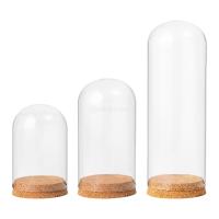 Vaso De Vidrio Con Base De Madera Para Exhibición De Mesas Cubierta Transparente Para Flores Secas Adornos Y Terrarium Estilo Moderno - details 5