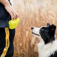 Bolsa De Cintura Portátil Para Entrenamiento De Perros Almacenamiento De Alimentos Y Golosinas Para Agilidad Y Obediencia - details 19