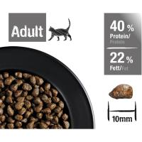Leonardo Fresh Salmon | Alimento para Gatos | Alimento seco para Gatos con un 85% de Carne Fresca | Alimento Completo para Gatos Adultos de Todas Las Razas a Partir de 1 año de Edad - details 2