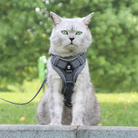 Juego De Correa Y Enjambre Para Gato Prueba De Fuga Ajustable Y Respirable Para Pequeños Y Medianos Perros Y Gatos Con Cuerda De Pecho Para Gatos Chicos - details 2