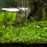 Tanque De Acuario Transparente Alimentador De Peces Y Camarones Círculo De Alimento De Vidrio Fleeting Para Sujeción En La Base - details 2