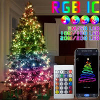 Cadena De Luces LED RGB WS2812B 20m 10m 5m DIY Inteligente IC APP Bluetooth Remote Para Jardín Fiesta Navidad Boda Decoración - details 1