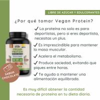 WeBotanix  Proteína Vegana 768 gr Sabor Chocolate  Vital Sport  Proteína de Cáñamo, Arroz y Guisante  Vitamina B6, Probióticos y Enzimas Digestivas  Sin Gluten, Sin Edulcorantes Artificiales - details 1
