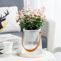 Macetas De Hidroponía Con Manija De Gran Capacidad Para Amantes Del Jardín Regalo Para Enthusiast De Las Plantas - details 5