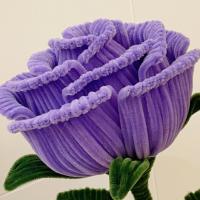 200PCS Lanas De Tubo Serie Morada Chenille Stem Suministros De Artesanía Para DIY Crafts Lanas De Tubo De Colores Morados - details 5