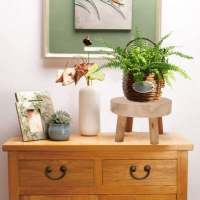 Soporte para plantas de Madera-Mini taburete de Madera para uso interior o exterior (Tamaño: S) - details 2
