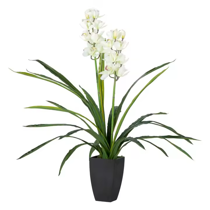 Adda Home Planta Orquidea Cymbidium 60x60x100 Cm - 1