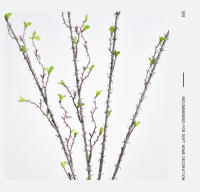 Vine Artificial De Espinas 88CM Para Decoración De Sala De Estar Hotel Casa Muerta Planta De Silicona En Café Naranja Verde Ligero Verde - details 10