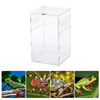 Caja De Alimentación Para Reptiles De Acrílico Terrario Transparente Hogar Para Insectos Araña Lagartos Escorpiones Caja De Encierro Arbóreo - details 2