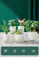 Maceta Hidroponía Automática Transparente Doble Capa De Plástico Para Oficina Maceta Self Watering Para Plantas Y Flores - details 1