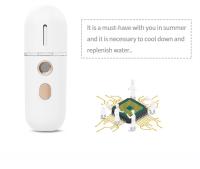 Mini Humidificador Portátil Nano Mister Device De Hierbas Para La Cara Apparatus De Spraying Hidratante Recargable Herramienta De Belleza - details 9