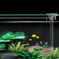 Dispensador De Alimentos Para Acuario Acrílico Multifuncional De Gran Capacidad Tubo Transparente Para Peces Y Camarones - details 2