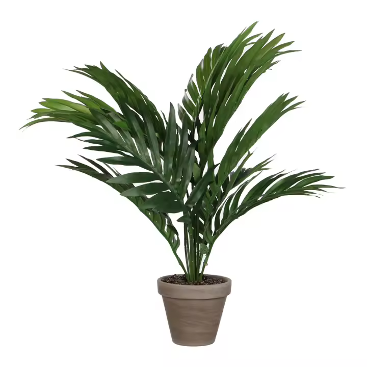 Palmera amarilla o areca pvc con maceta gris d11.5cm-h45xd60cm - 1