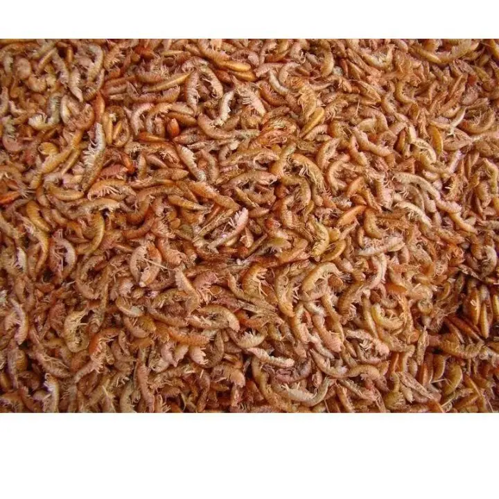 COMIDA PARA TORTUGAS A GRANEL GAMMARUS GAMBAS SECAS 250 ML-32GR - 1