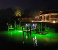 Luz Submersible LED 5M Para Pesca Lámpara De Bait Finder Profunda 50W 12-24V Atracción De Calamares IP68 Auto-Contenida Para Lago - details 2