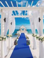Carpetazo De Boda Azul De No Tejido De Lujo Para Pasillo 1M/1.2M Para Ceremonias De Boda Fiesta Navidad Banquete De Lujo - details 1