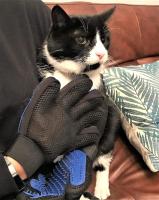 Guante de cepillo de perro, Masajeador de aseo de gato, Guante de aseo de masaje para perros, Guante de aseo para mascotas Herramienta efectiva para eliminar el pelo caído de mascotas - details 2