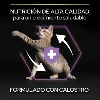 PURINA Pro Plan Gato Kitten Healthy Start Pollo - Pienso Seco para Gatos - Purina Proplan Gato - Pienso Mascotas - Comida Seca Gatos - details 1