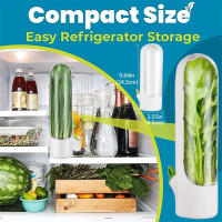 Contenedor De Almacenamiento Para Hierbas Frescas Herb Saver Guardia De Vainilla Preservación De Verduras Para Nevera Y Cocina - details 2