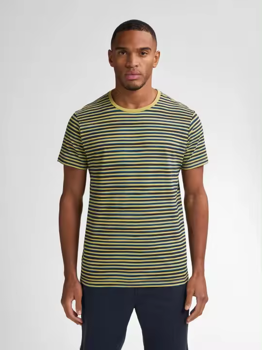 Camisetas Hombre Marcas Petrol Industries Ropa  Camiseta de rayas Anchorview -Petrol Industries- Tsr633 pistache ligero - 1