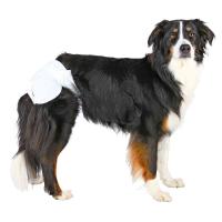 Trixie 12 Pañales Perras ultra absorbentes, M-L - details 1