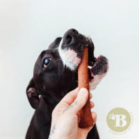 BIMORDISCOS Pet Products - Mini Barritas para Perros - Snacks para Perros - Sticks Variados - details 2