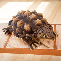 Peluche Realista De Cocodrilo Y Tortuga Juguete De Peluche Para Niños Regalo De Cumpleaños Muñeco De Peluche Suave Y Cálido Para Abrazar - details 15