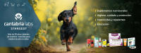Stangest Dentican Soluble Enjuague Bucal para Perros y Gatos - details 1