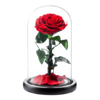 Preservado real Rose Eternal Rose en vidrio cúpula regalo para ella - details 0