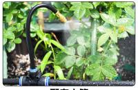 Juego De Riega Automático Universal 5-20M Con Boquilla De Cobre Rotativa Para Jardín Y Balcones Kit De Riego Con Atomización - details 7