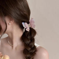 Pinza De Mariposa Dual Gradiente Para Mujer Accesorio De Cabello Coreano Dulce Y Elegante Pinza De Mordaza De Cocodrilo Para Niñas - details 3