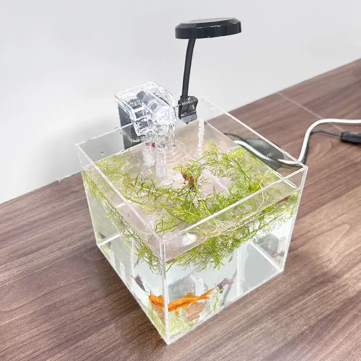 Acuario Ecológico De Acrílico Transparente Para Escritorio De Oficina Pequeño Tanque De Agua Con Hierba Para Camarones Y Tortugas - 1
