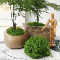 Moss Artificial Verde Para Ornamento De Jardín Decoración De Habitaciones Miniatura De Plantas Verdes DIY Para Macetas Y Artesanía - details 1