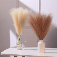10PCS Pampas Artificial Para Decoración De Casamiento Y Hogar Accesorios De Flores Para Vaso Y Decoración De Habitación Estilo De Planta Silken - details 0