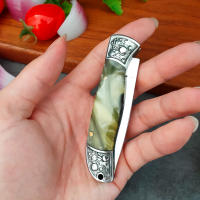 Cuchillo De Afeitar Profesional En Acero Inoxidable Con Mango Plegable Cuchillo De Carne Y Fruta Para Corte De Pescado Y Carne En La Cocina - details 4