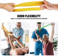Set De Bandas De Resistencia 7 Piezas Accesorios De Gimnasio Portátiles Para Casa Ejercicios Elásticos De Goma Para Fitness Y Fortalecimiento Muscular - details 15