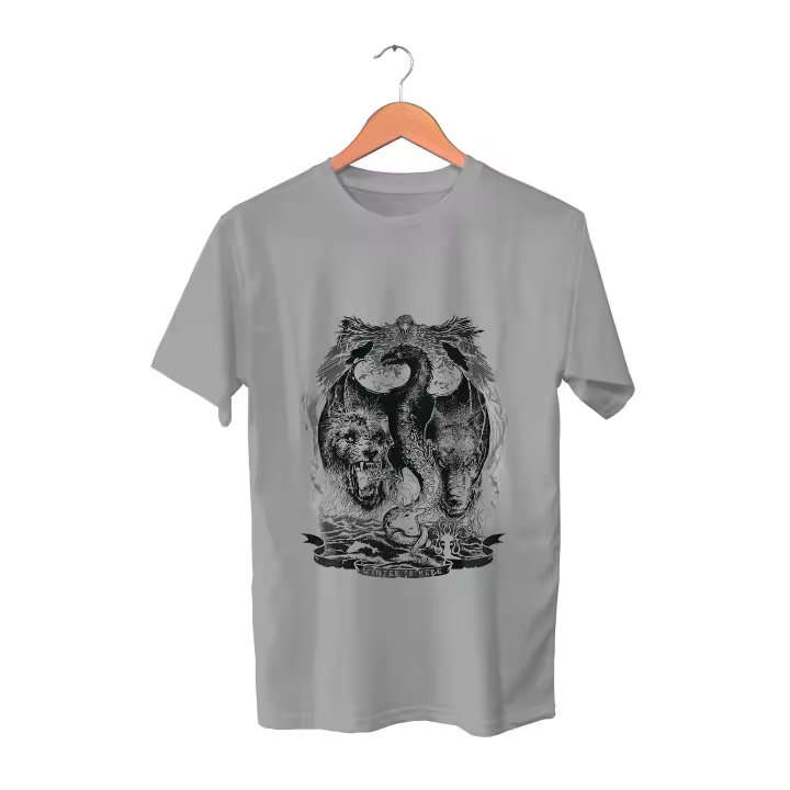Camiseta Juego de tronos. Winter is coming. Fire and blood. Stark. Lannister. Targaryen. Arya. Jon Snow. Khaleessi. Tyrion. Varios colores. Todas las tallas. - 1