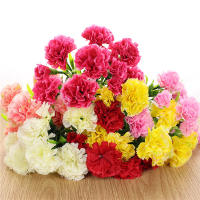 10 Cabezas De Carnaciones Artificiales En Colores Variados Decoración De Hogar Para Bodas Y Festivales Flores De Seda Bellas Y Realistas - details 1