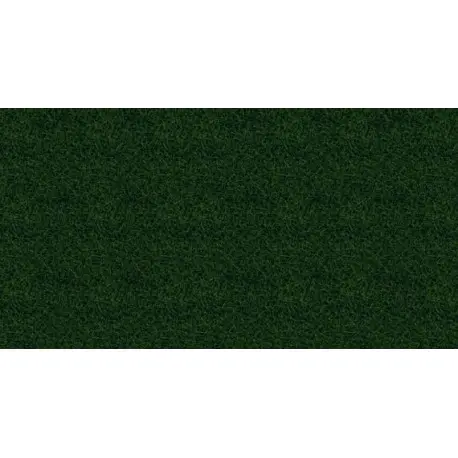 Hierbas silvestres, verde oscuro. - 1