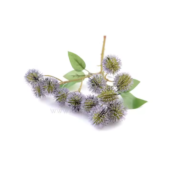 AGERATUM AMIRAYA 3 CM Raíz - OFERTAS FLORES - Google Shopping - 1