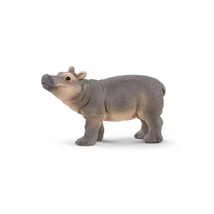Schleich - Colección Wild Life - Figura Realista de Cría de Hipopótamo - Detalles Impresionantes - 1